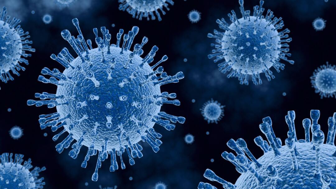 Infektionen Publireportage