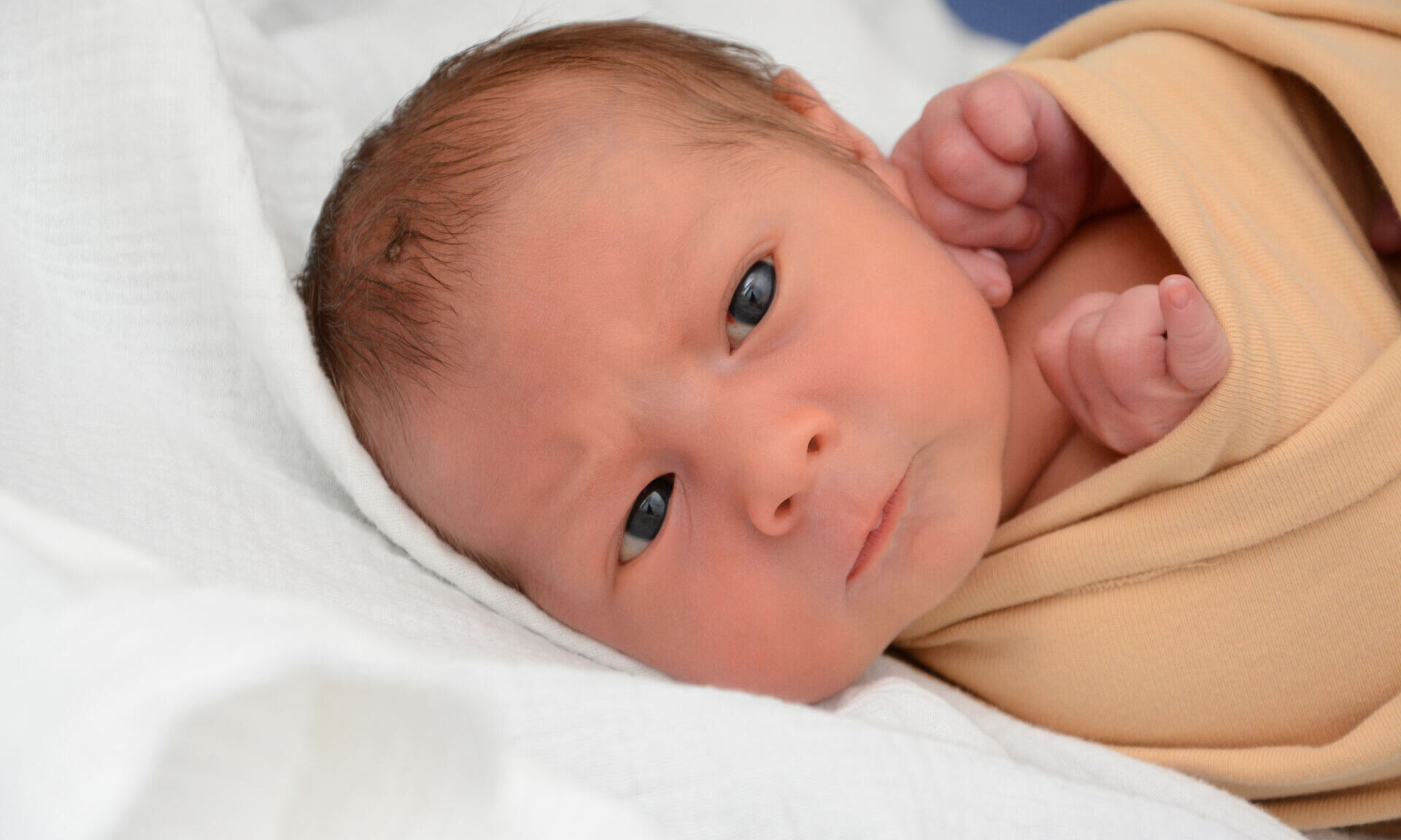 Theo