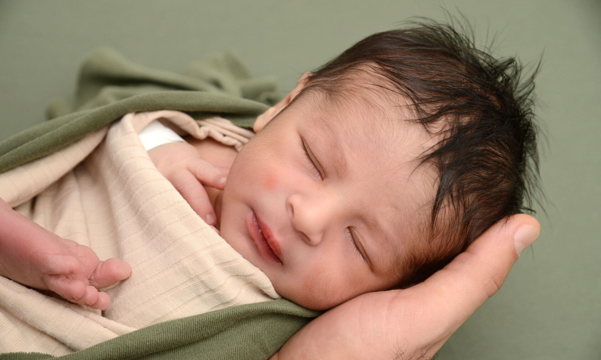 Zayd