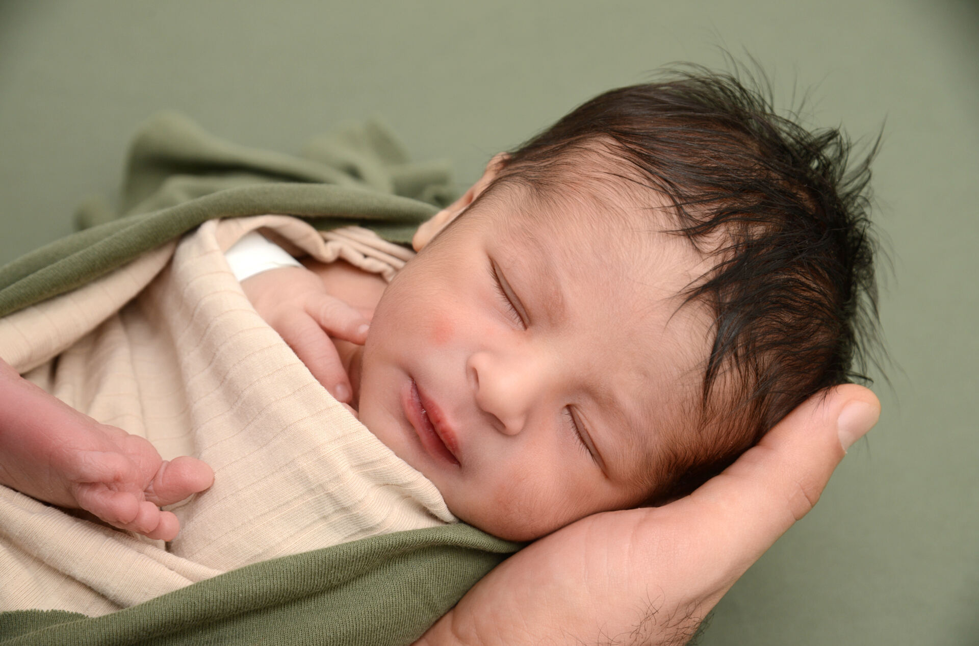 Zayd