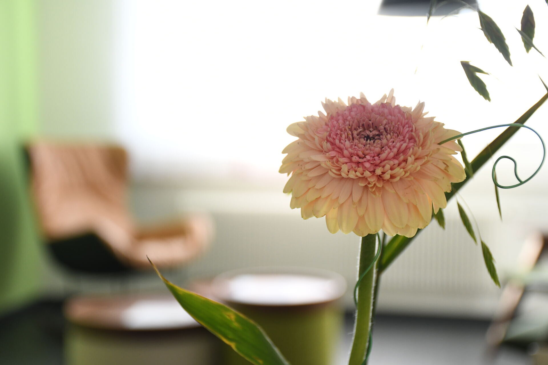 Zertifizierung Palliative Care