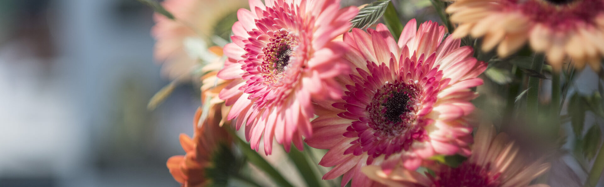 Nahaufnahme eines Blumenstrausses