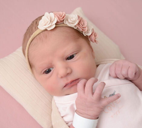 Daphne Calliope